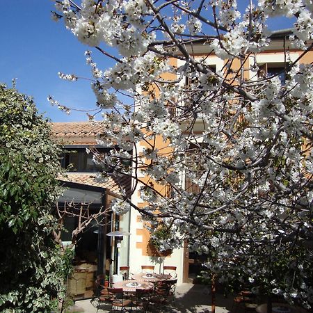 Hotel El Faixero Tradicional Cinctorres Exterior photo